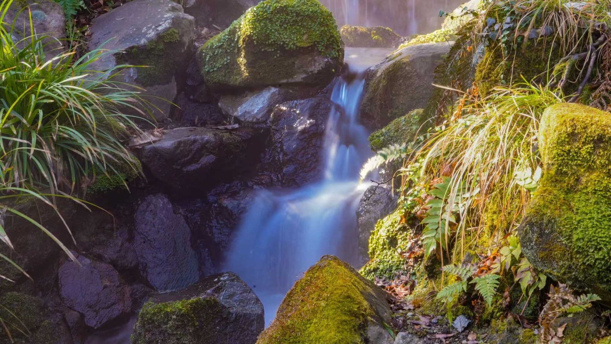 Water flowing between moss-covered rocks.
