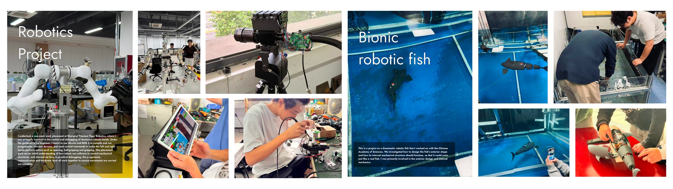 Portfolio photographs of robotics and robotic fish making.